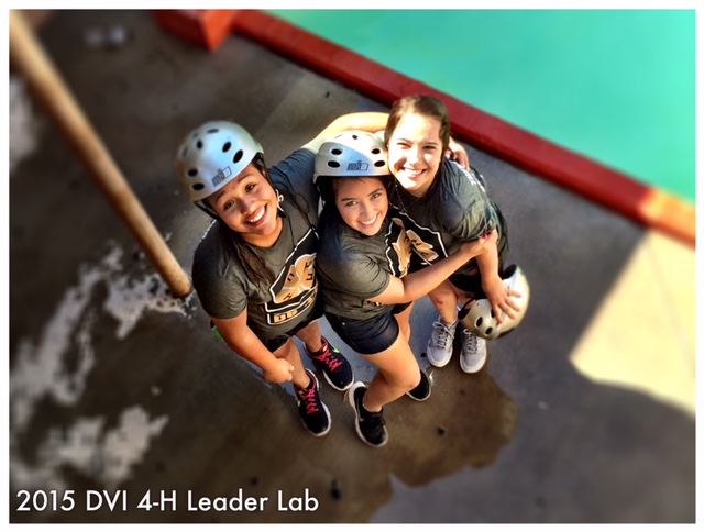 District VI 4-H Leadership Lab 2014-2015