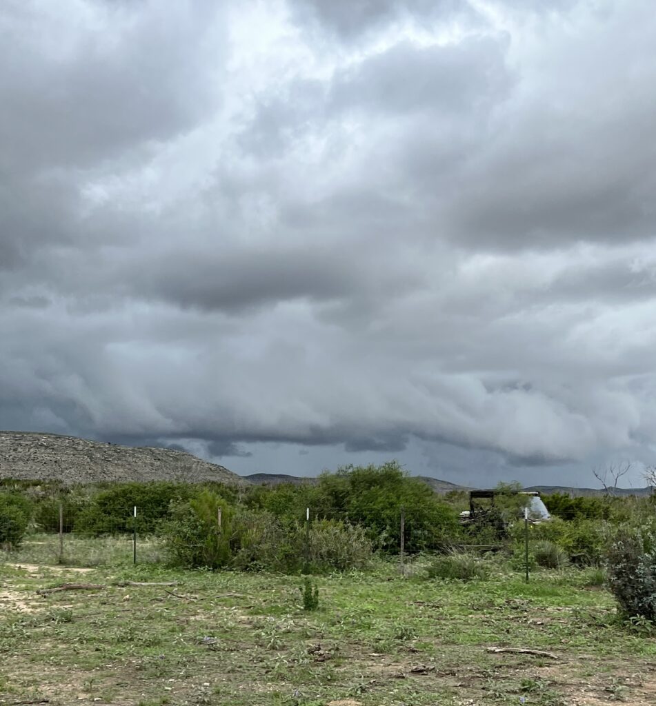 LANDSCAPE&NATURENONANIMAL_Terrell_Blaylock_Abygail